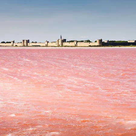 La Mazarin 5* Aigues-Mortes